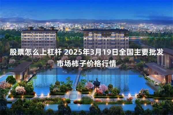 股票怎么上杠杆 2025年3月19日全国主要批发市场柿子价格行情
