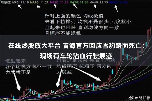 在线炒股放大平台 青海官方回应雪豹路面死亡：现场有车轮沾血行驶痕迹