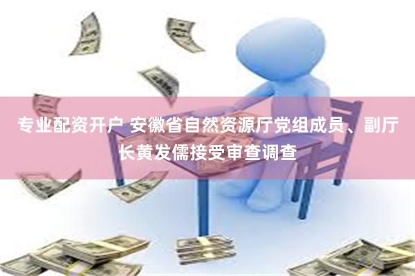 专业配资开户 安徽省自然资源厅党组成员、副厅长黄发儒接受审查调查