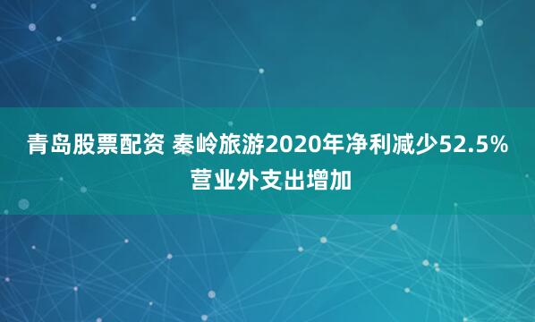 青岛股票配资 秦岭旅游2020年净利减少52.5% 营业外支出增加