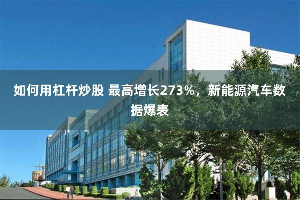 如何用杠杆炒股 最高增长273%，新能源汽车数据爆表