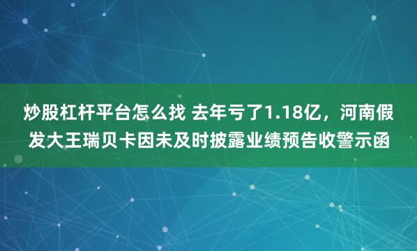 炒股杠杆平台怎么找 去年亏了1.18亿，河南假发大王瑞贝卡因未及时披露业绩预告收警示函