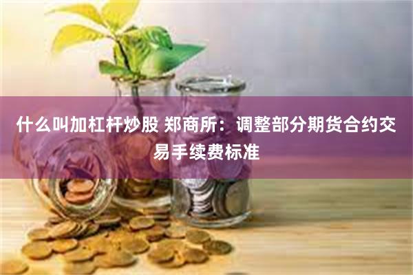 什么叫加杠杆炒股 郑商所：调整部分期货合约交易手续费标准