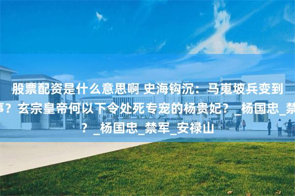 股票配资是什么意思啊 史海钩沉：马嵬坡兵变到底是啥回事？玄宗皇帝何以下令处死专宠的杨贵妃？_杨国忠_禁军_安禄山