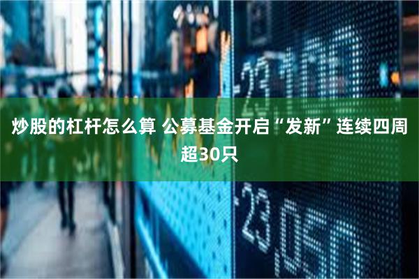 炒股的杠杆怎么算 公募基金开启“发新”连续四周超30只