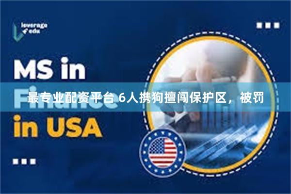 最专业配资平台 6人携狗擅闯保护区，被罚