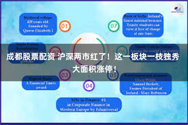 成都股票配资 沪深两市红了!这一板块一枝独秀 大面积涨停!